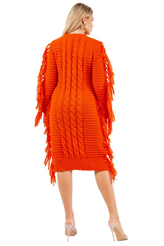 FRINGE SWEATER DRESS