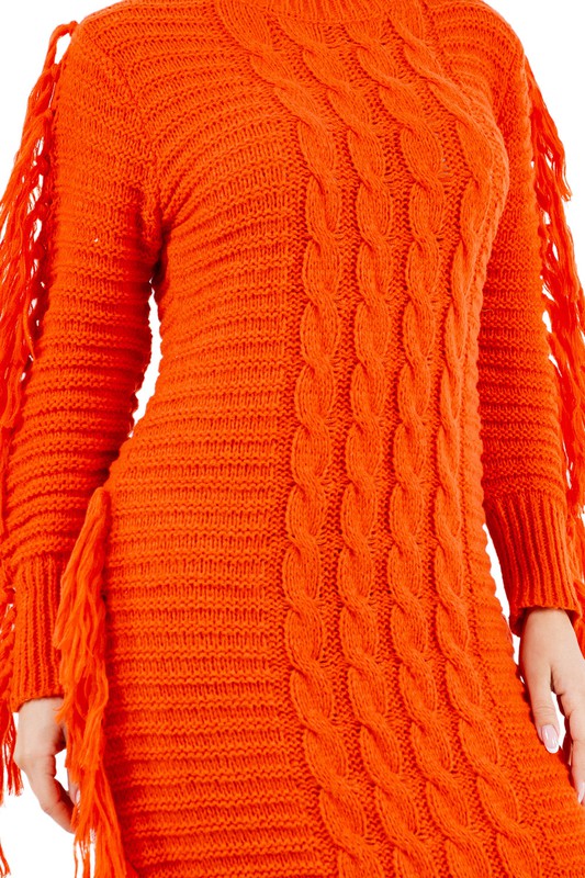 FRINGE SWEATER DRESS
