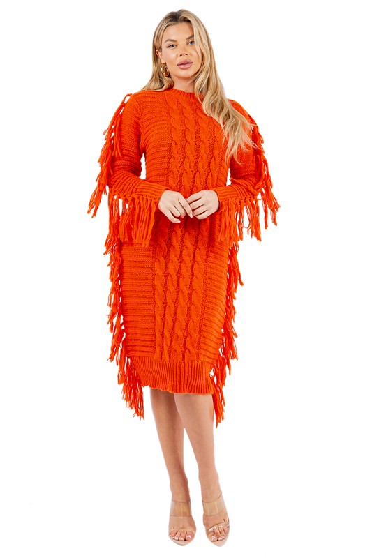 FRINGE SWEATER DRESS