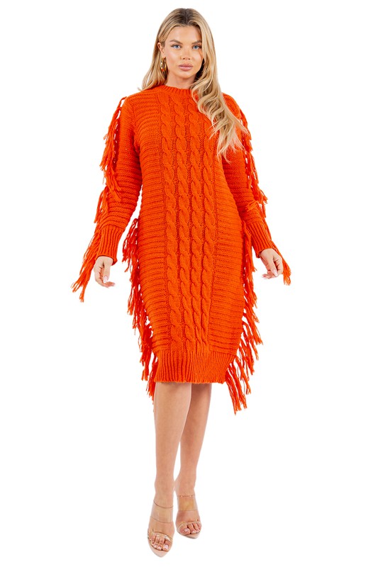 FRINGE SWEATER DRESS