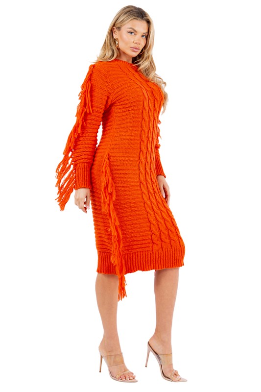 FRINGE SWEATER DRESS