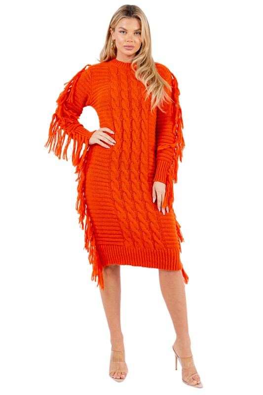 FRINGE SWEATER DRESS