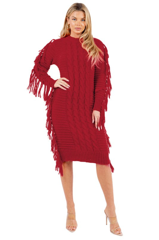 FRINGE SWEATER DRESS