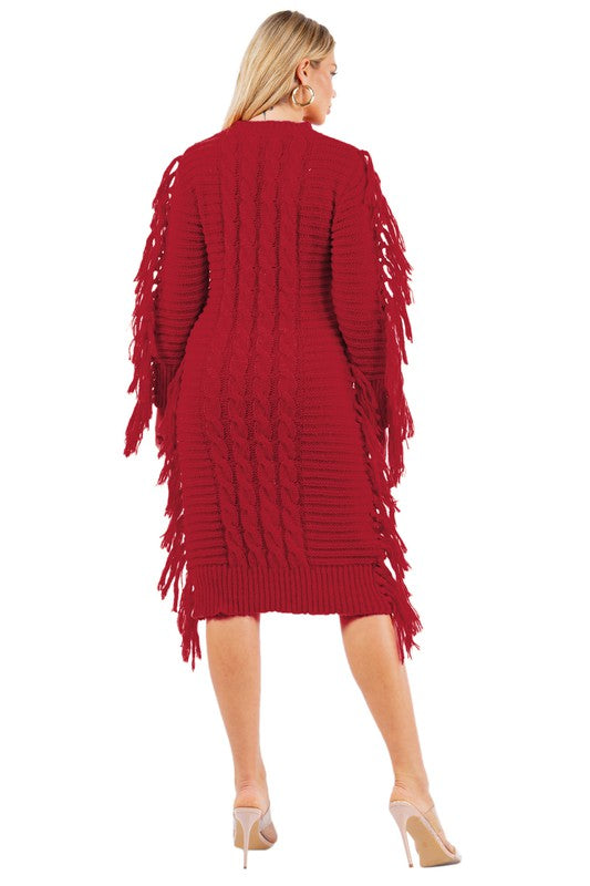 FRINGE SWEATER DRESS