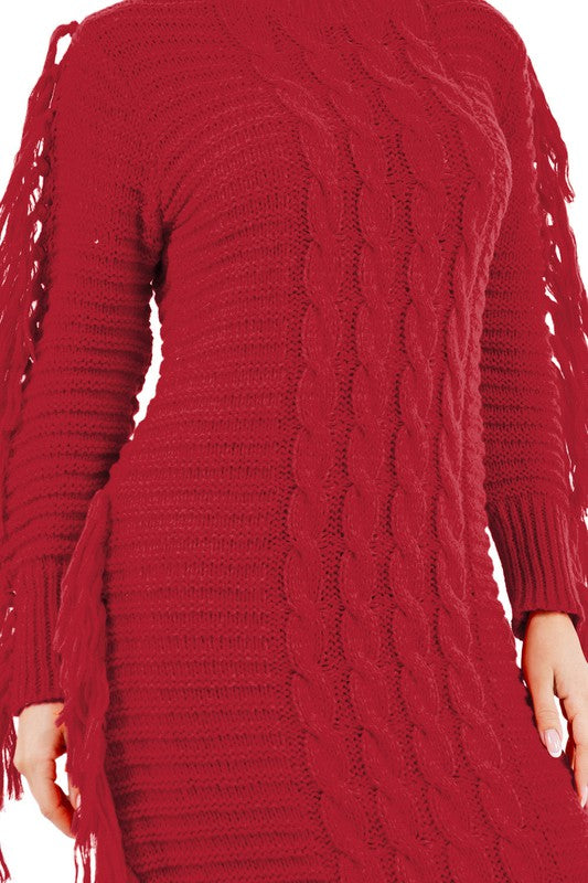 FRINGE SWEATER DRESS