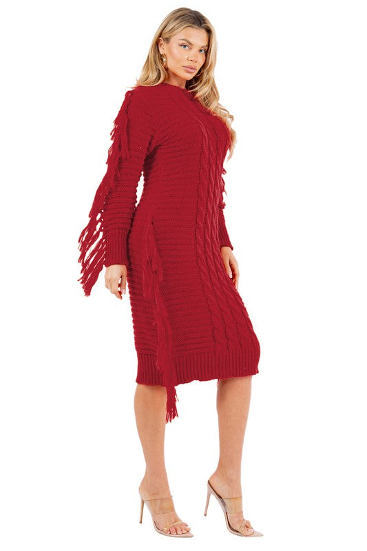 FRINGE SWEATER DRESS