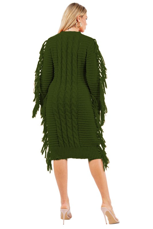 FRINGE SWEATER DRESS