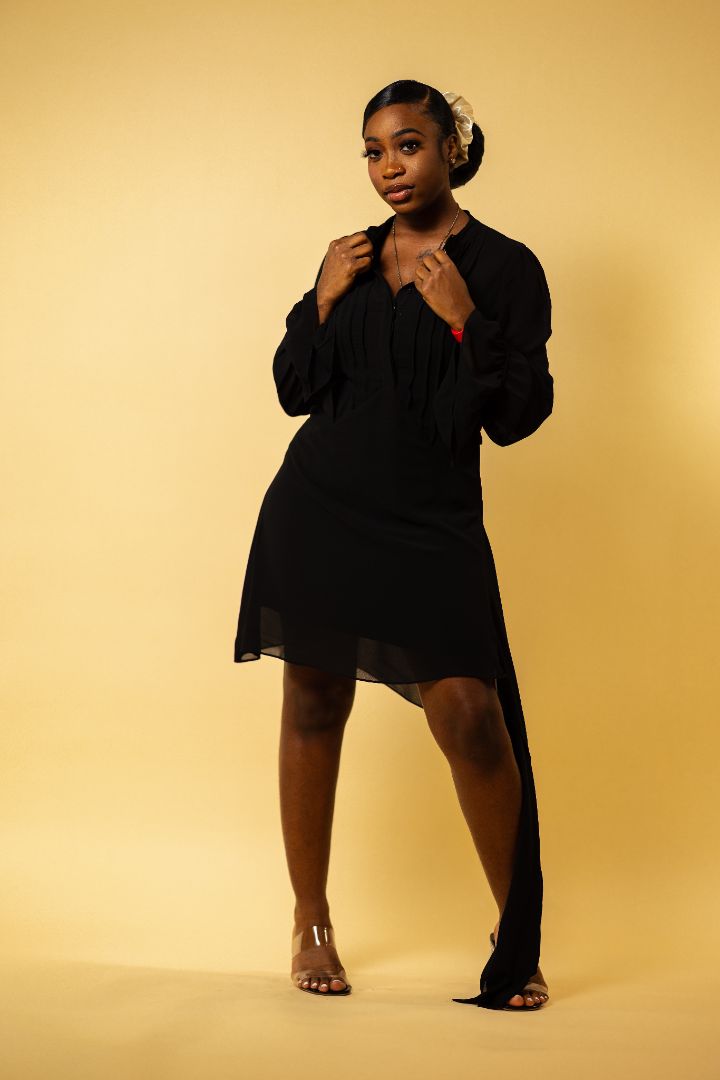 Petra Bib Pleated Dress Wäre Rare